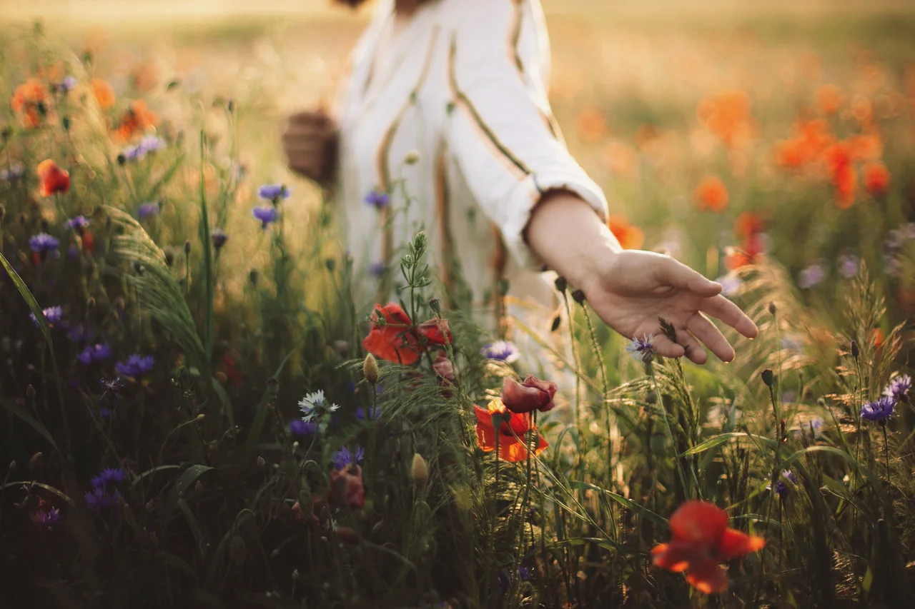 Woman reaching through sunlit wildflowers